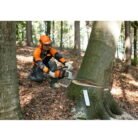 Stihl-MS-661-C-M-2